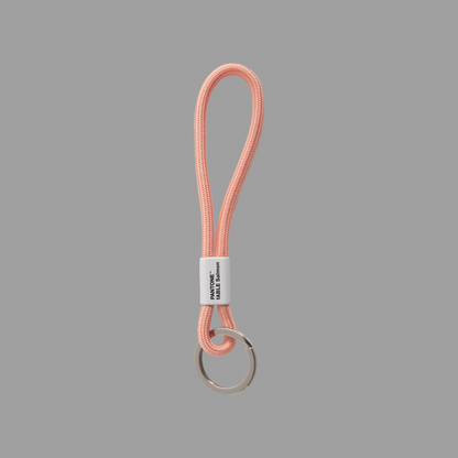 fABLE Salmon Key Chain