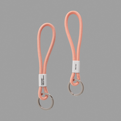 fABLE Salmon Key Chain