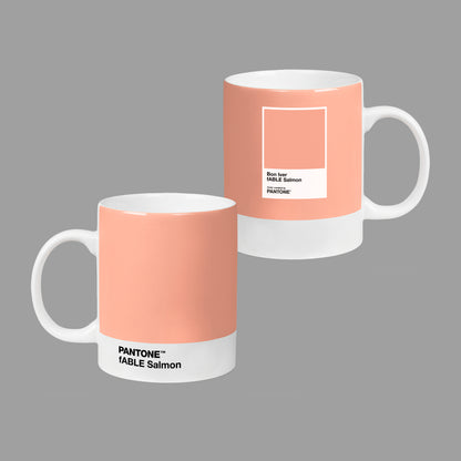 fABLE Salmon Original Mug