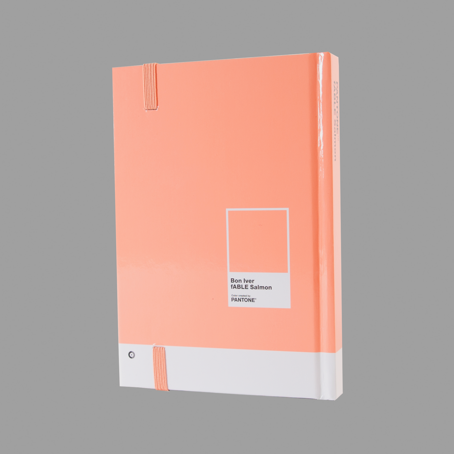 fABLE Salmon Notebook
