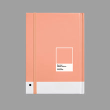 Load image into Gallery viewer, preorder: fABLE Salmon Notebook