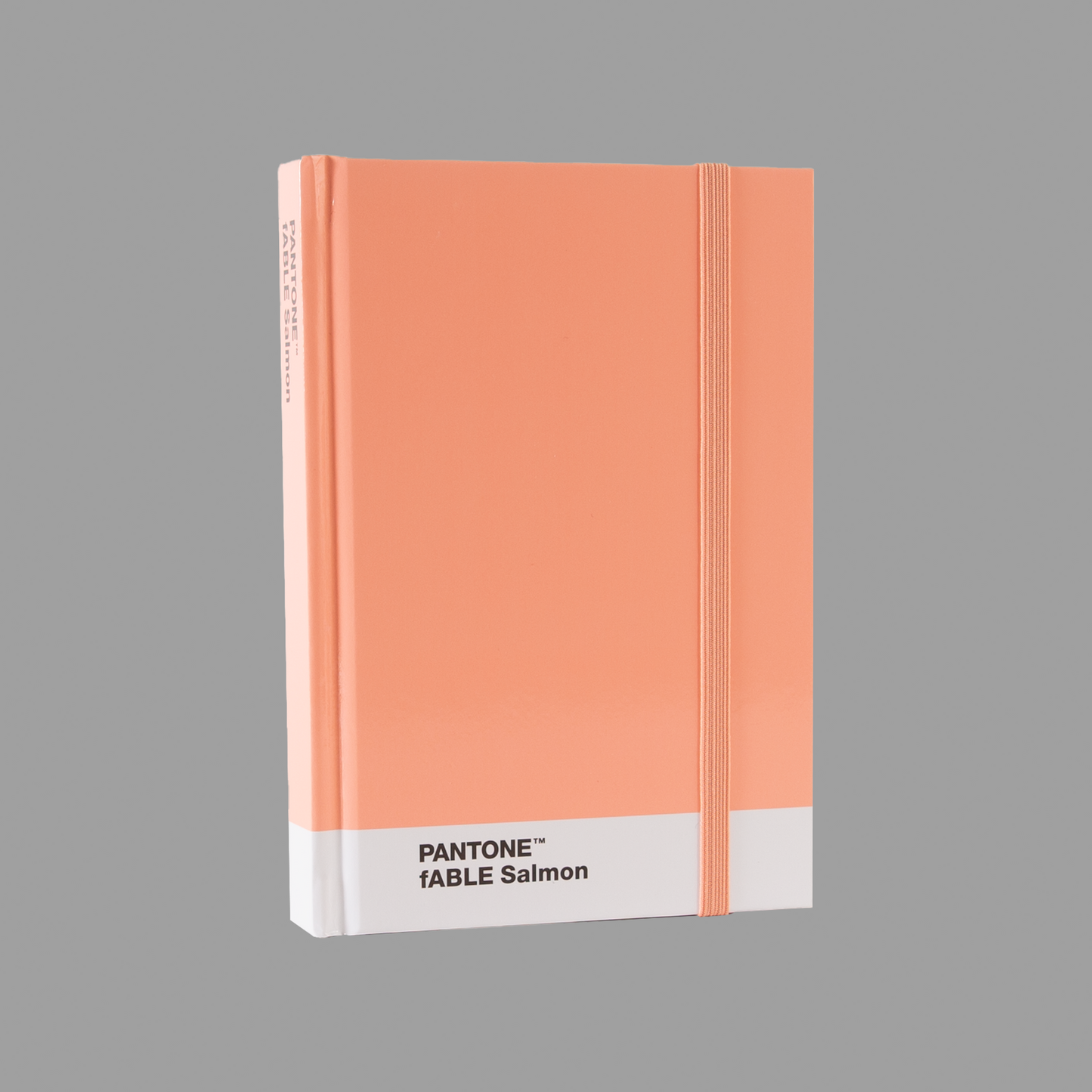 fABLE Salmon Notebook