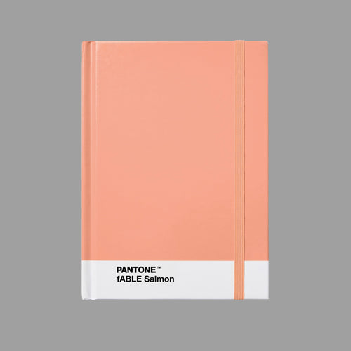 preorder: fABLE Salmon Notebook