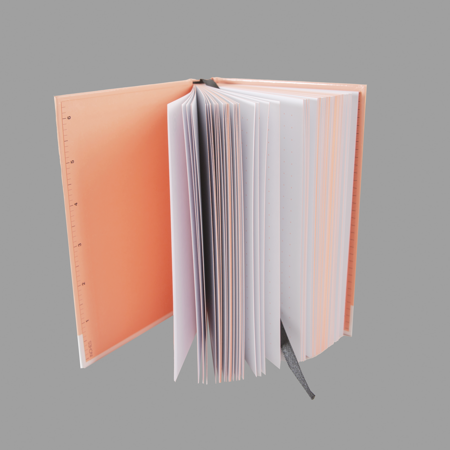 fABLE Salmon Notebook