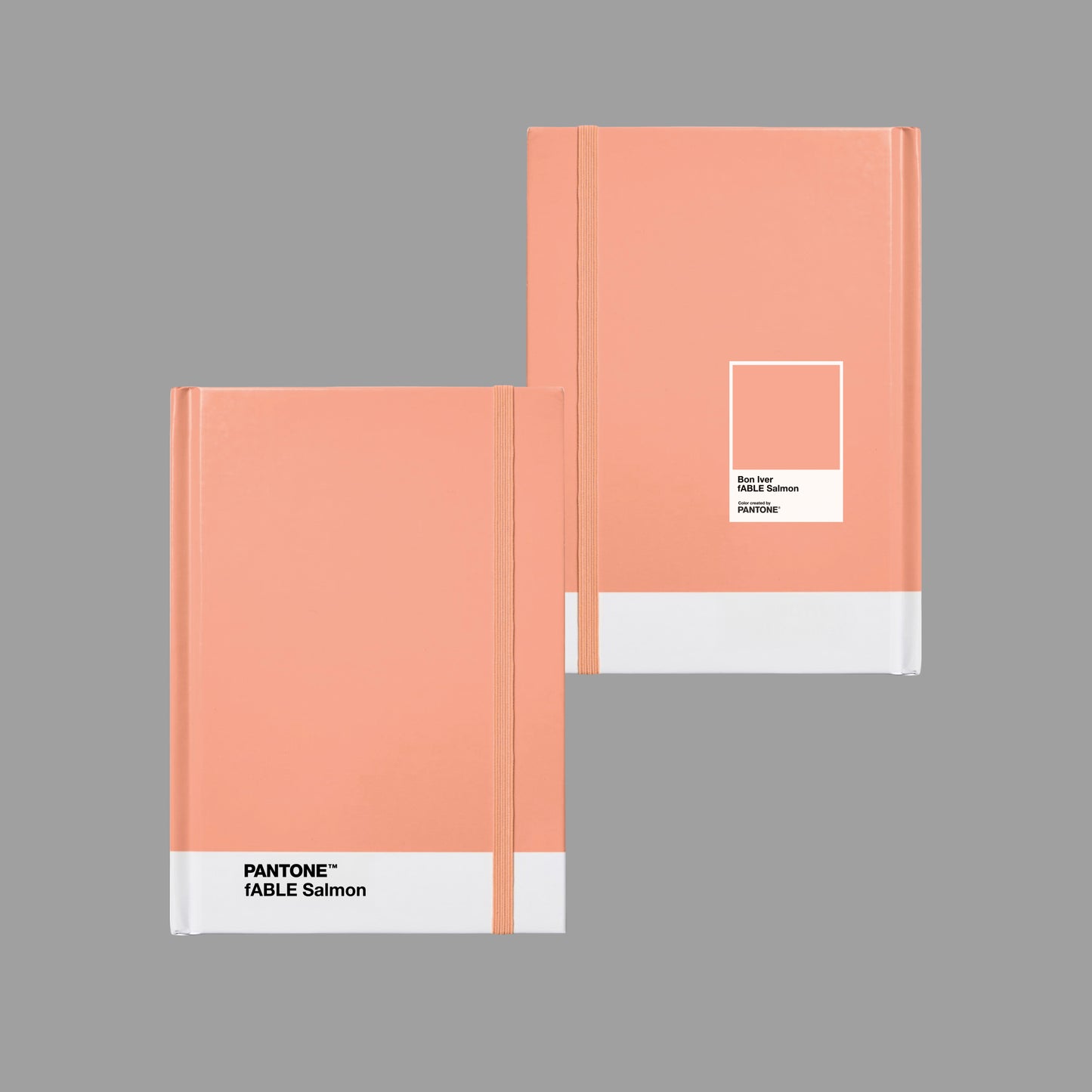 fABLE Salmon Notebook