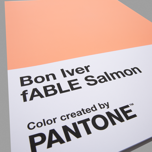 fABLE Salmon Poster